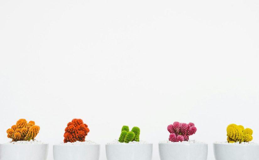 고객 유지 전략 Q&A 브랜드 매니저