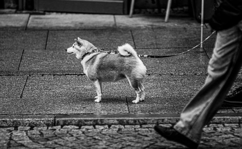 브랜드 컬러 전략 템플릿 호텔·게스트하우스