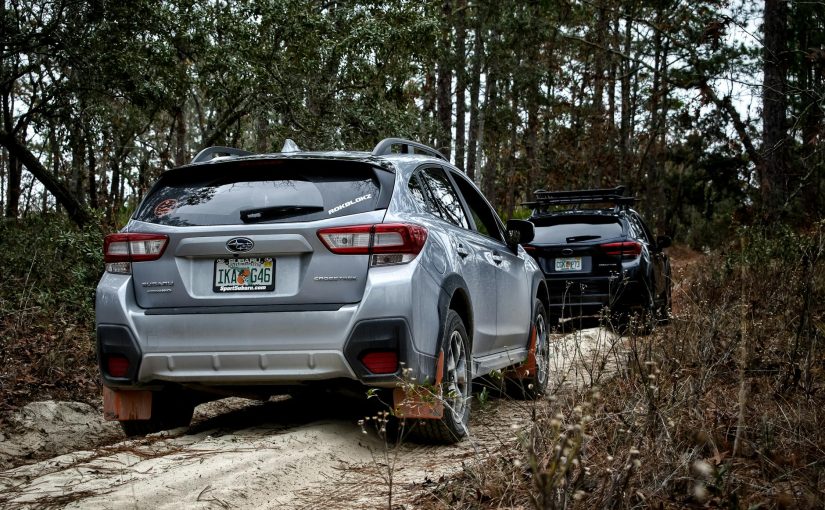 2025년, 애니메이션·디자인 에이전시의 AI 글쓰기 도구 비교 및 활용 방안