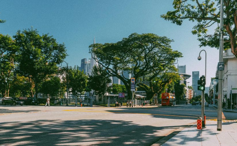 리브랜딩 사례 분석 스타트업 편의점·마트