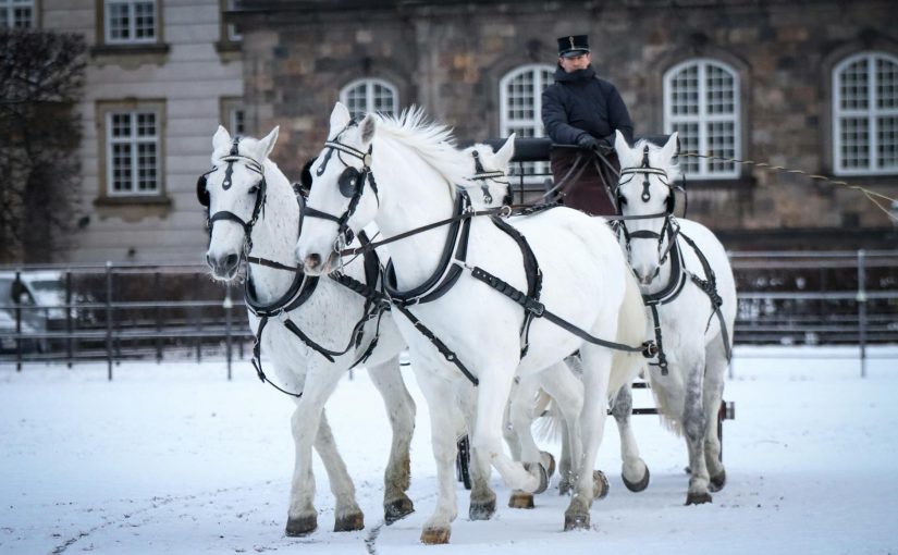 챗봇 마케팅 2025 트렌드 온라인 강의 제작자