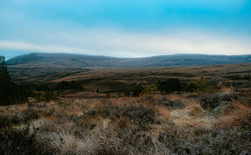 퍼스널 브랜딩: 2025 트렌드와 시즌성 캠페인 준비 가이드