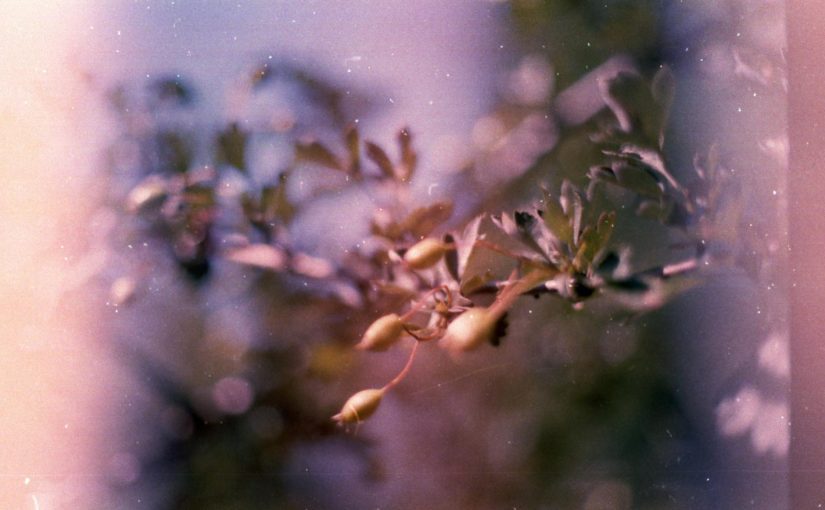 병원 신규 환자 유입을 위한 스타트업 마케팅 초기 전략